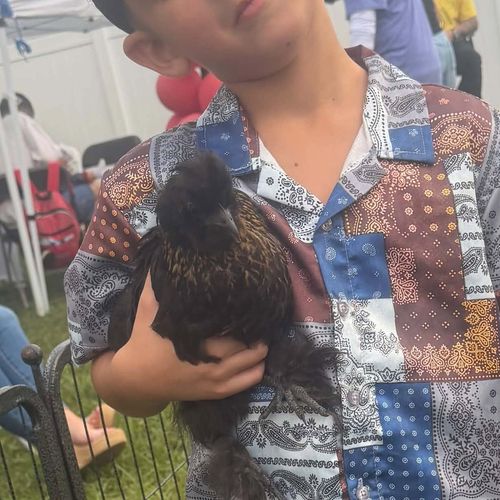 A boy holding a black hen at a party