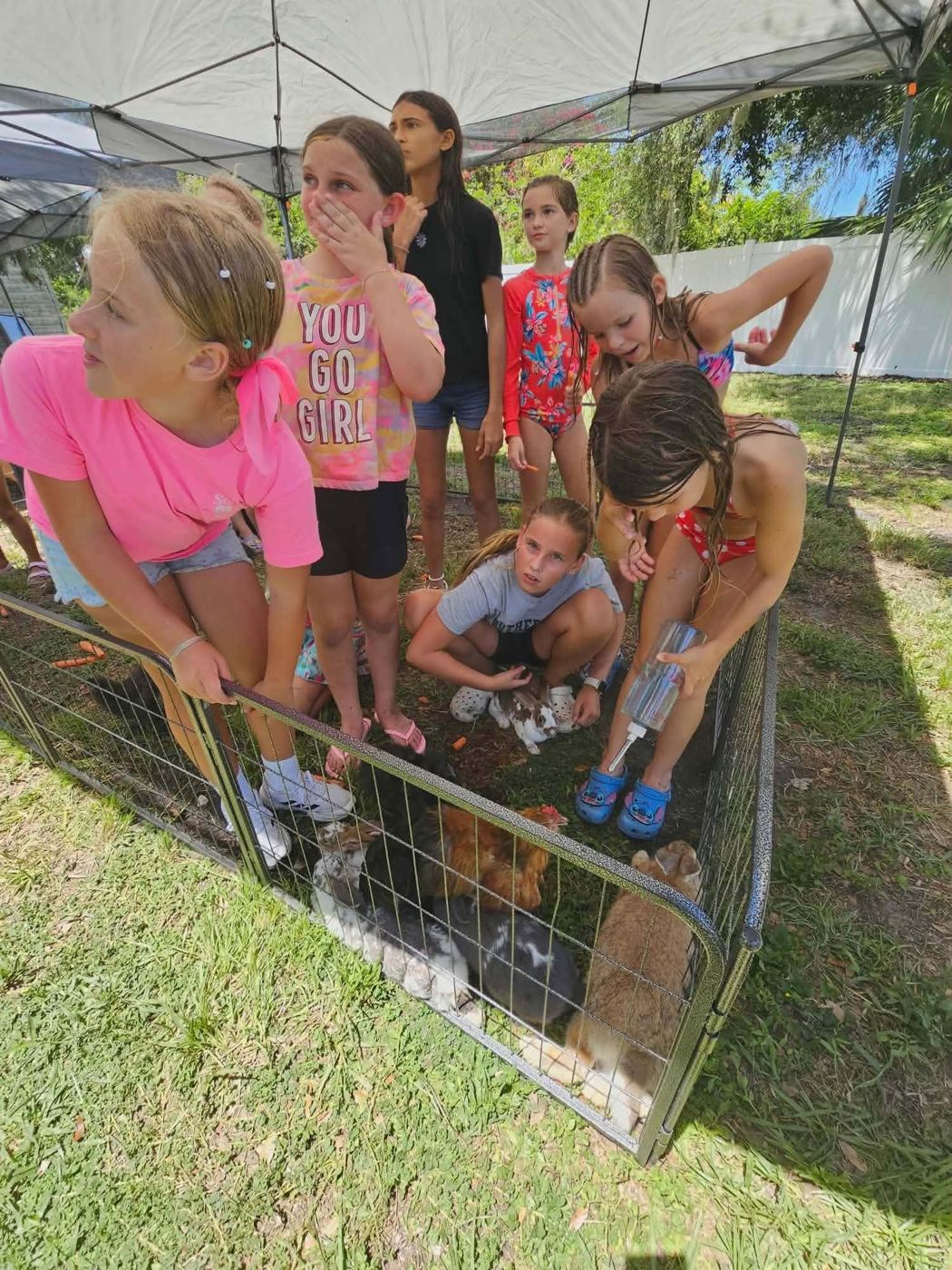 Campers leaning into the petting pen to meet the animals