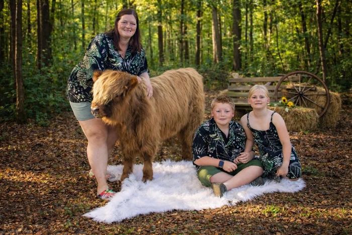 A family photo session with a Highland calf in the woods