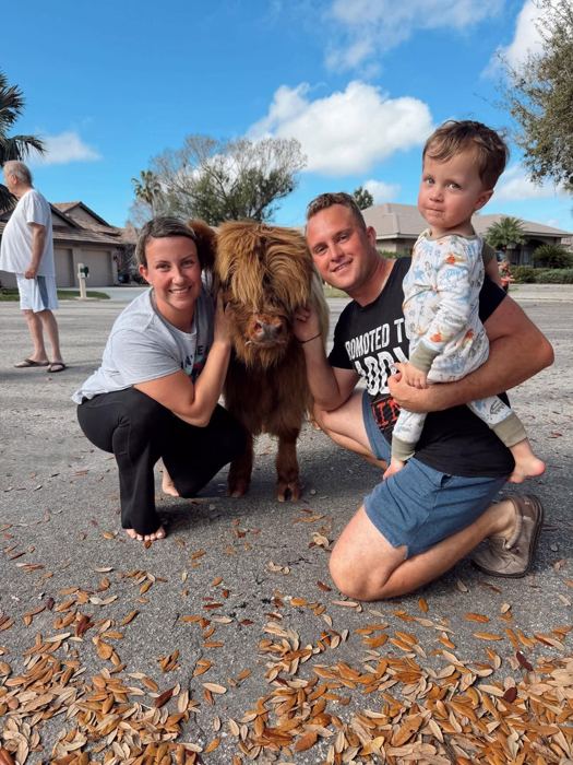 A family posing with a Highland calf at their home visit